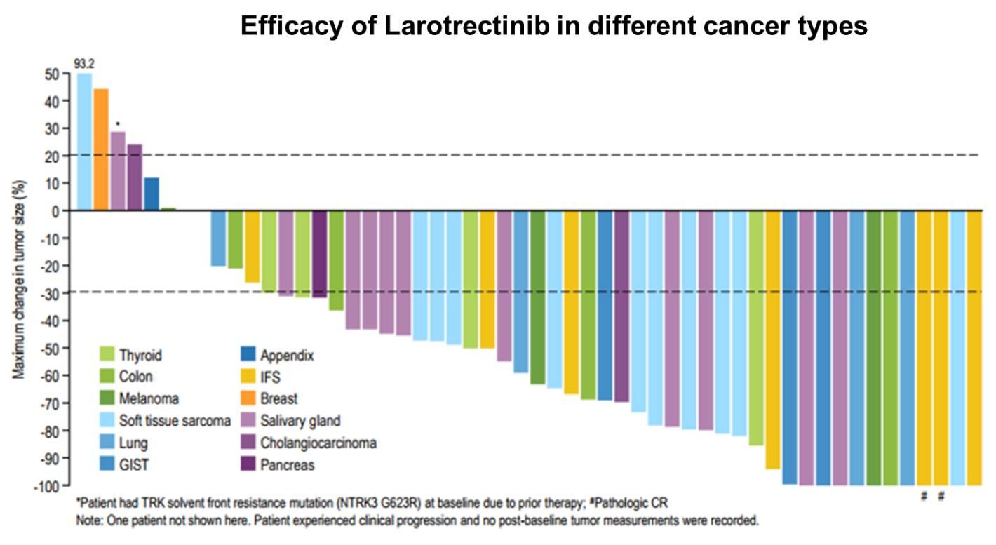 胆管癌靶向、免疫疗法最新进展小结