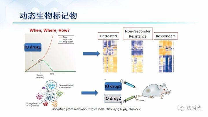 谢雨礼博士：肿瘤免疫疗法（IO）的联用策略