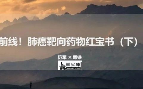 最前线！恺军＆司铁 | 肺癌靶向红宝书（完结篇）