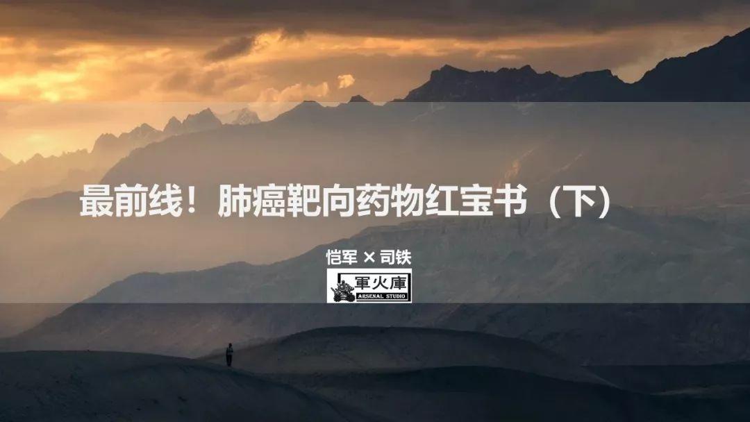 最前线！恺军＆司铁 | 肺癌靶向红宝书（完结篇）