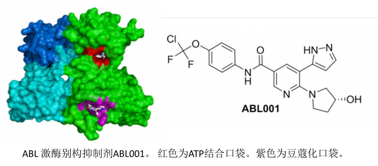 激酶别构抑制剂，会带给我们惊喜吗？