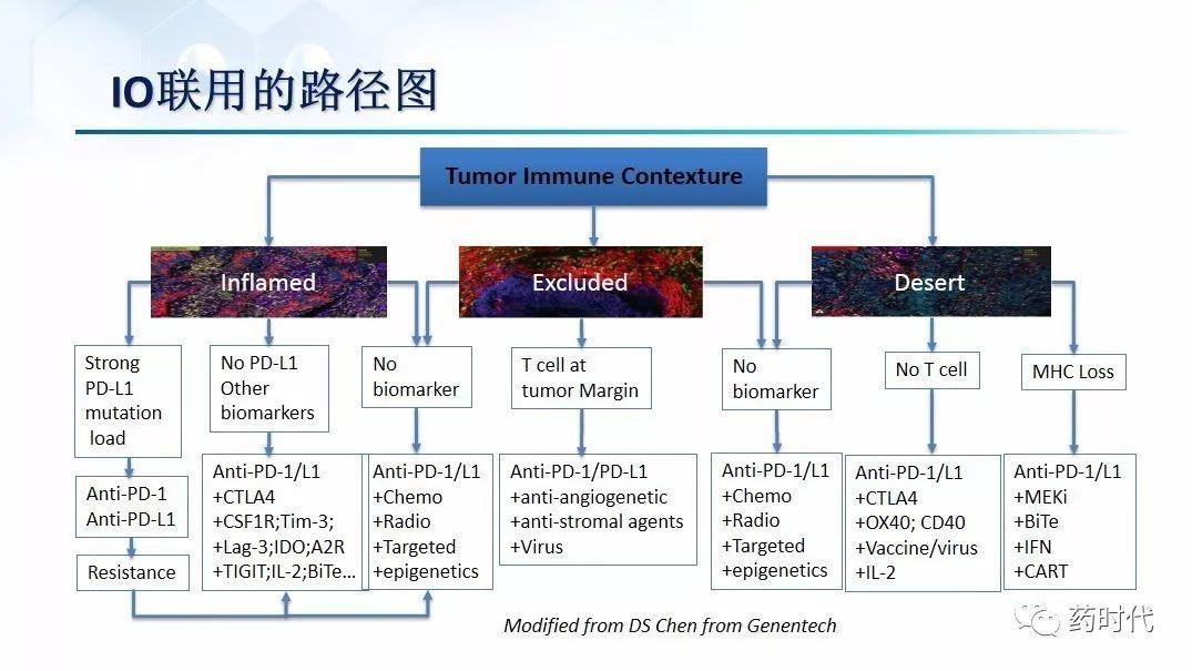 谢雨礼博士：肿瘤免疫疗法（IO）的联用策略