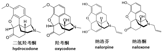 阿片镇痛药物: 军科院的遗憾和扬子江的奇迹