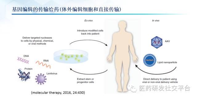 精准医疗的投资机会（更新版 83页PPT 免费下载）