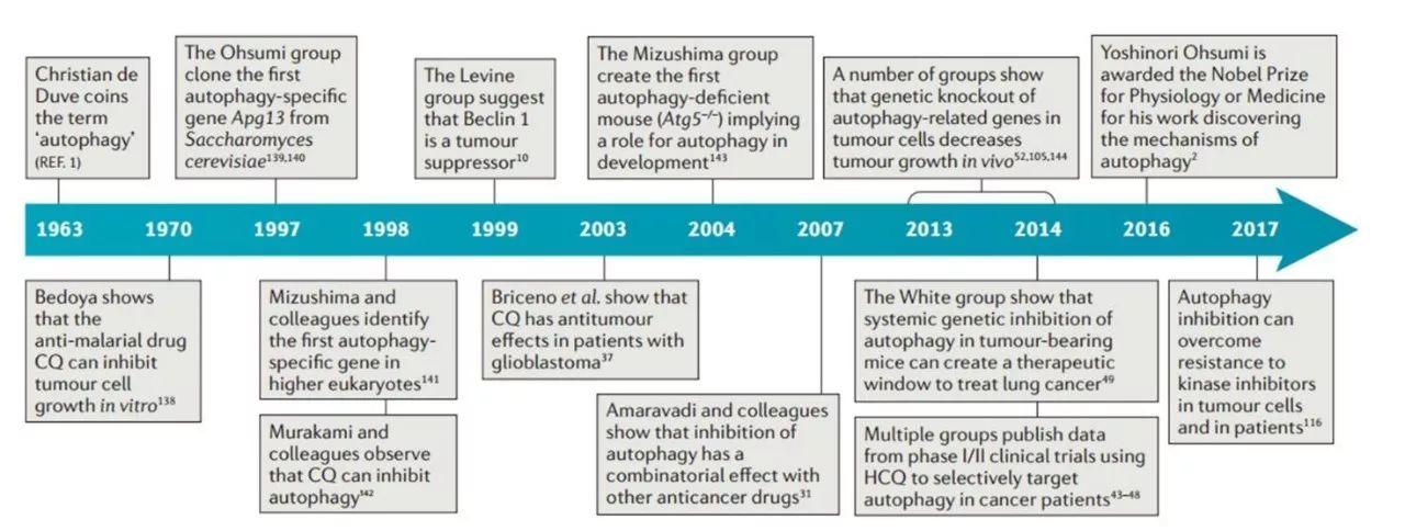 自噬诺奖一周年 | 靶向自噬的肿瘤药物研发前景浅析