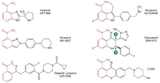 雨里：小分子药物发现的新技术和新思维