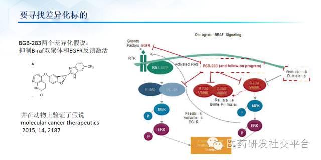 精准医疗的投资机会（更新版 83页PPT 免费下载）