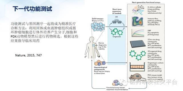 【重磅原创 独家首发】谢雨礼博士：精准医疗的投资机会