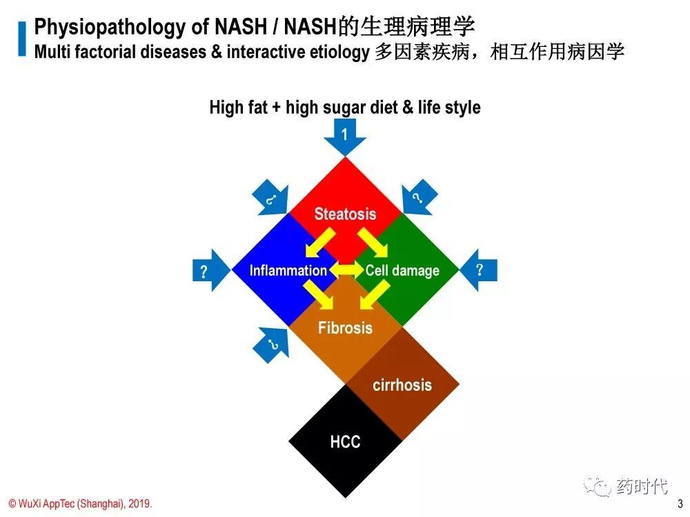 徐德鸣博士 | NASH动物模型的策略：现有模型都不足，但有用
