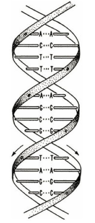 徐亦迅博士 ｜ 诺光灯下的科学史掠影 (中)