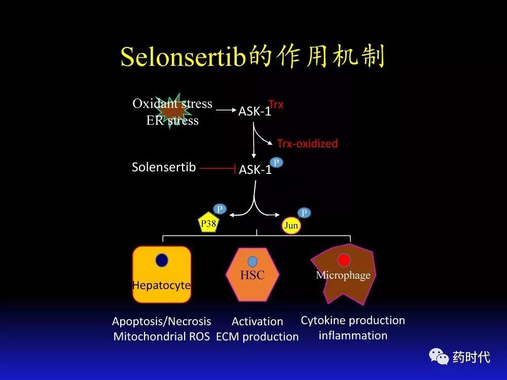 吴健教授 | NASH肝纤维的分子机制及干预靶点