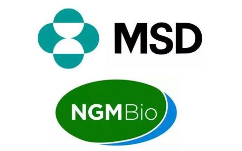 默沙东和NGM Bio在NASH等方面的合作延至2022年