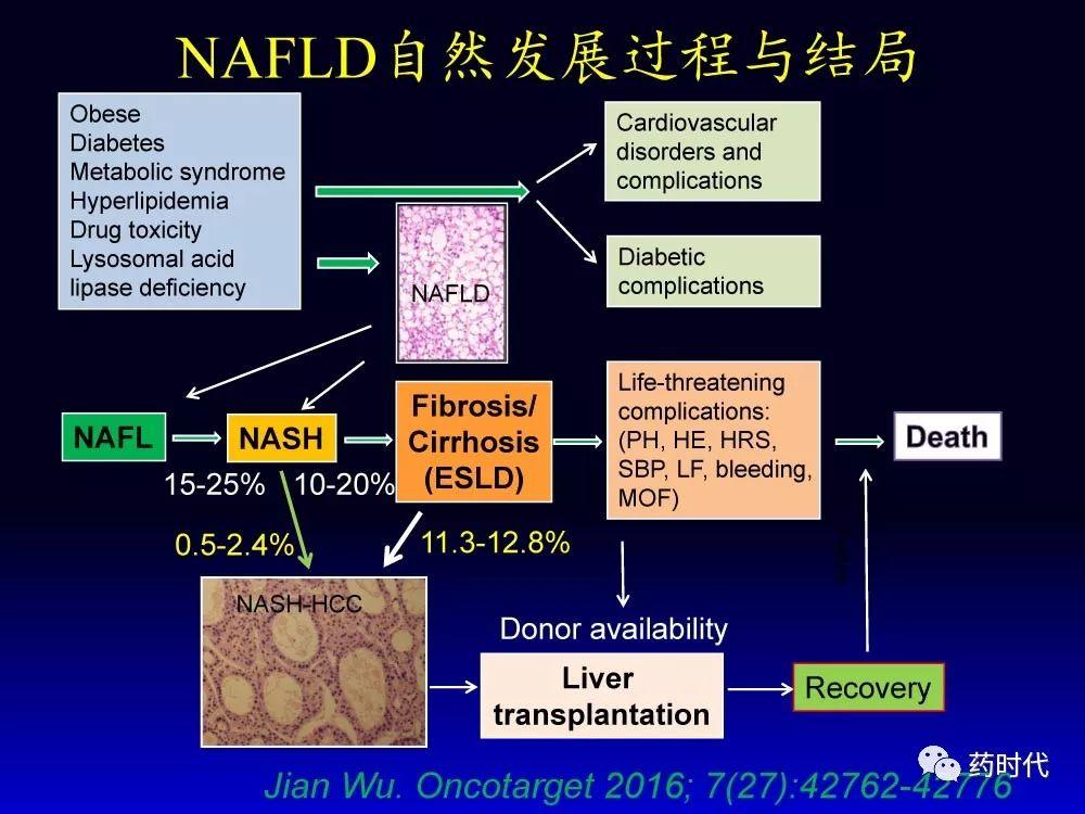 吴健教授 | NASH肝纤维的分子机制及干预靶点