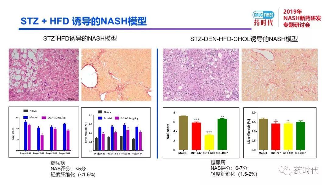 庄永傑博士 | NASH新药研发相关试验动物模型的分析