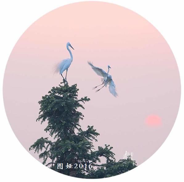 深度长文 | 一个全能抗癌药物的传奇故事和带给我们的理性思考！