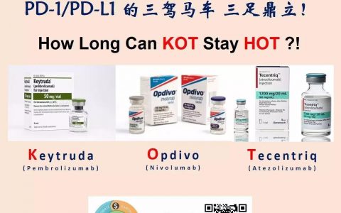 三大PD-1/PD-L1药物在中国临床试验的PI和参加机构名单（Keytruda）