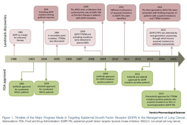【重磅】表皮生长因子受体 (EGFR) 作为EGFR突变非小细胞肺癌的药物靶点：我们现在身在何处？去向何方？