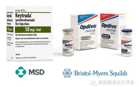 【重磅新闻！】Opdivo作为NSCLC一线用药临床试验未达关键终点，BMS股价大跌~20%！MSD股价上涨~10%！