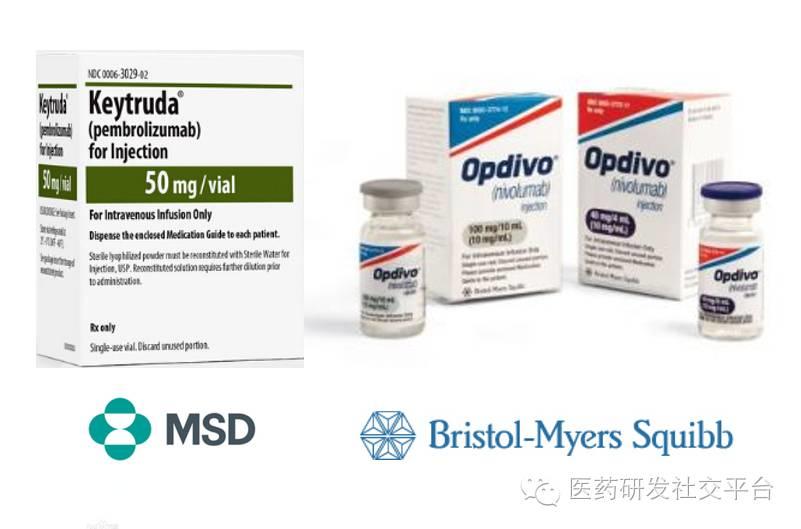 【重磅新闻！】Opdivo作为NSCLC一线用药临床试验未达关键终点，BMS股价大跌~20%！MSD股价上涨~10%！