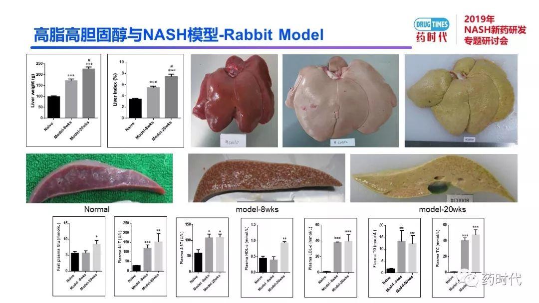 庄永傑博士 | NASH新药研发相关试验动物模型的分析