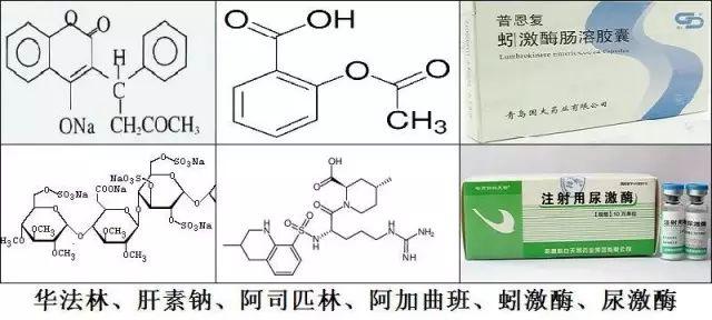 日本医蛭善治血瘀证是破血药，宽体金线蛭善治络病是通络药，你分得清吗？