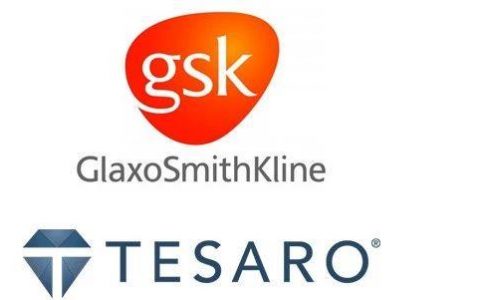 官宣！GSK将收购TESARO！