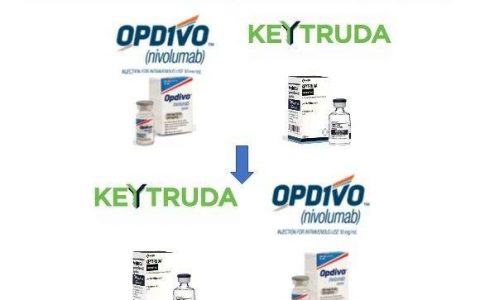 一图值千金！Keytruda首次超越Opdivo！OK变成KO！