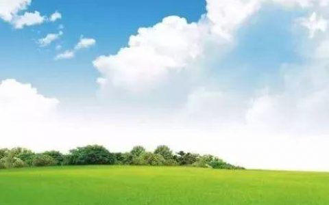 BD的春天到来了！多家跨国药企将进入“交易模式”！