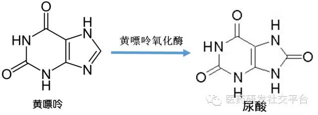 【圣诞礼物！】 痛风新药！美国FDA批准阿斯利康的 Zurampic（LESINURAD）