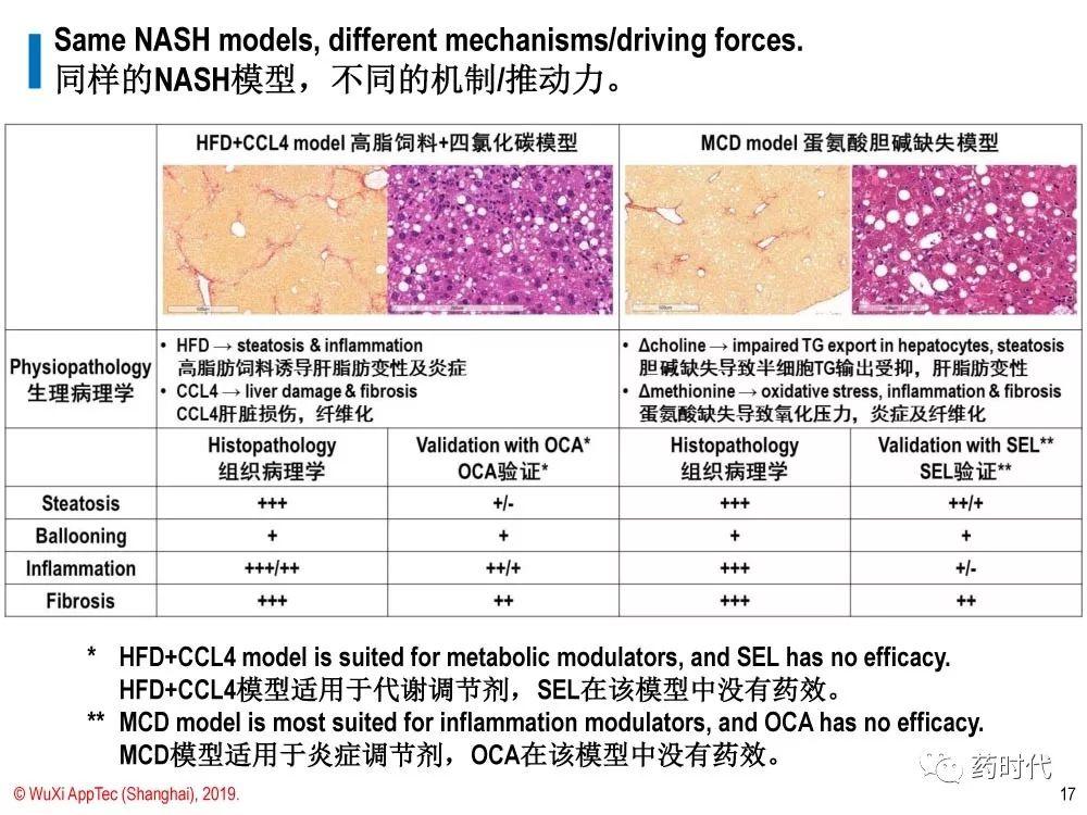 徐德鸣博士 | NASH动物模型的策略：现有模型都不足，但有用