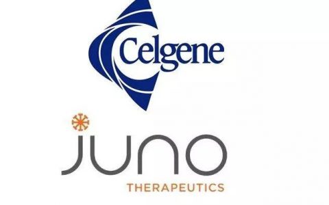 90亿美元！Celgene收购Juno！