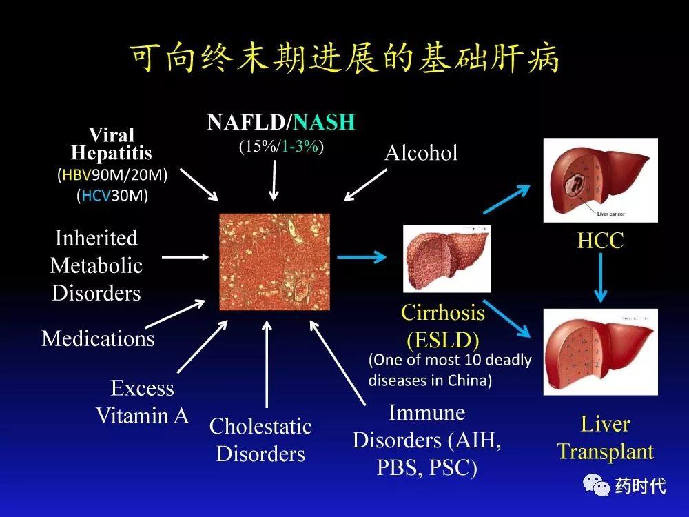 吴健教授 | NASH肝纤维的分子机制及干预靶点