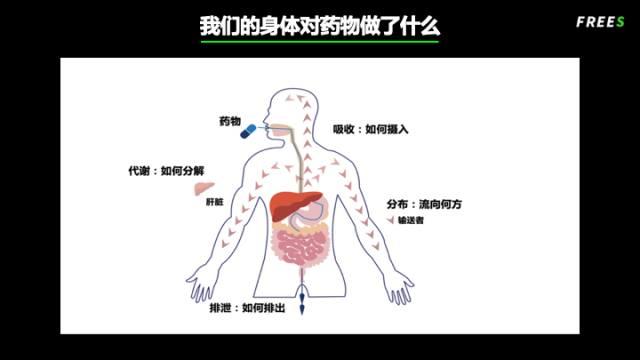 生命赌局——药物研发的冒险历程 | 峰瑞研究所