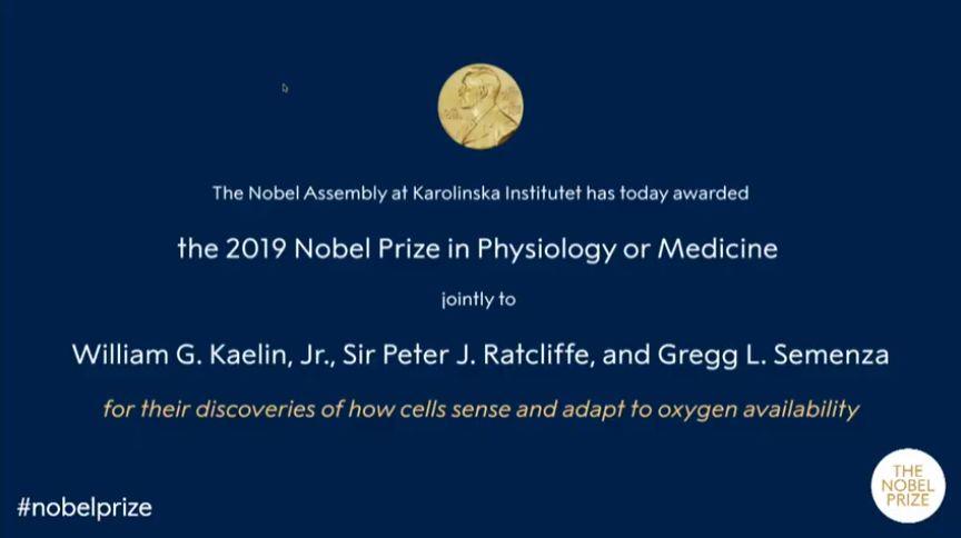 快讯！2019年诺贝尔生理学或医学奖揭晓！三位科学家获得殊荣！