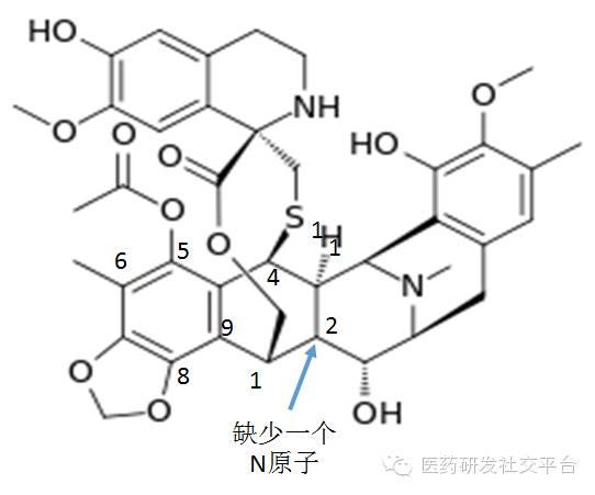 暂停中药西药之争 让我们一起去看海！（大西洋底来的抗癌药！）