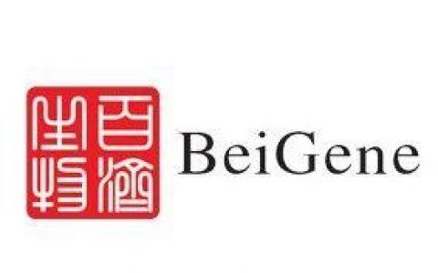 百济神州将于美国东部时间2019年9月8日下午七点就公司最新进展召开电话会议并进行网路直播