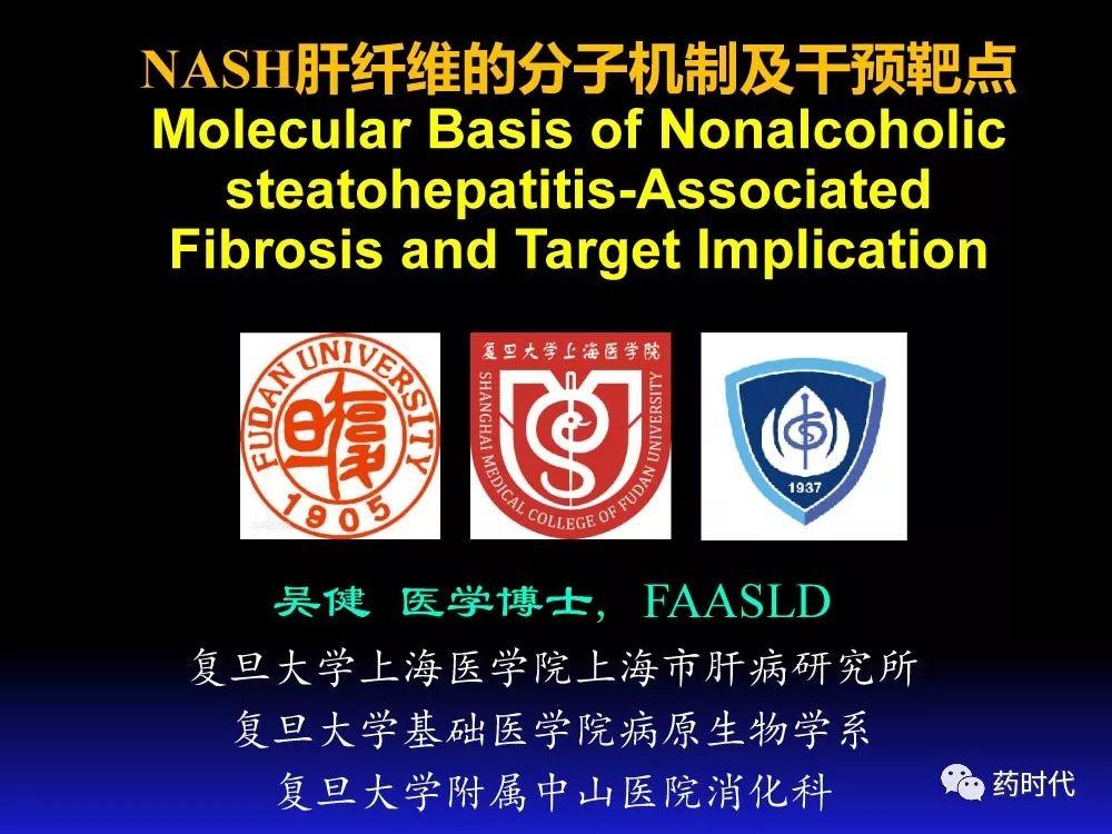 吴健教授 | NASH肝纤维的分子机制及干预靶点