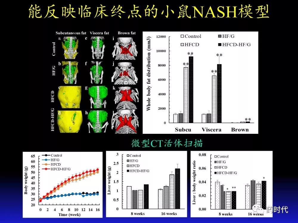 吴健教授 | NASH肝纤维的分子机制及干预靶点