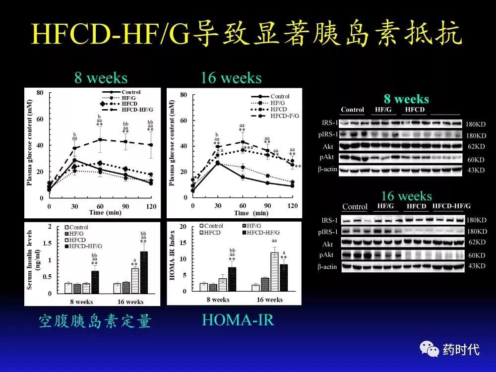 吴健教授 | NASH肝纤维的分子机制及干预靶点