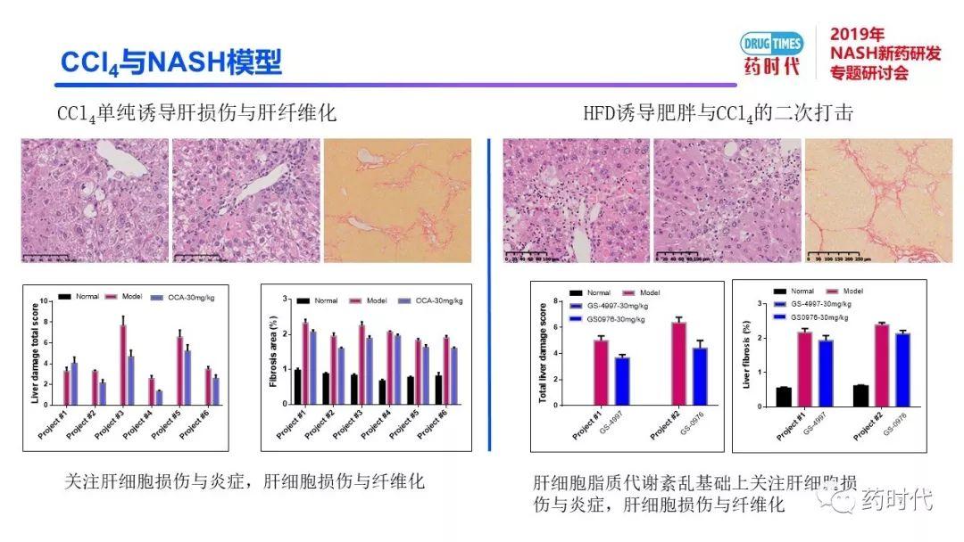 庄永傑博士 | NASH新药研发相关试验动物模型的分析