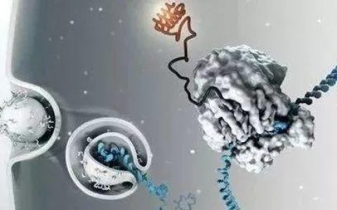 谢雨礼博士 | 生物科技的下个10年：RNA药物“王者归来”