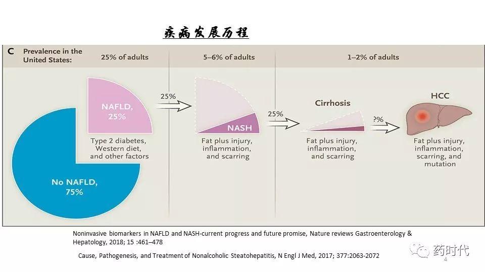 牛俊奇教授 | 脂肪肝药物评价的生物学标志物