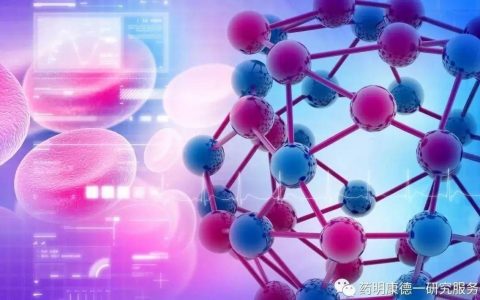 药明康德研究服务部药效及动物模型主题研讨会 l 北京站