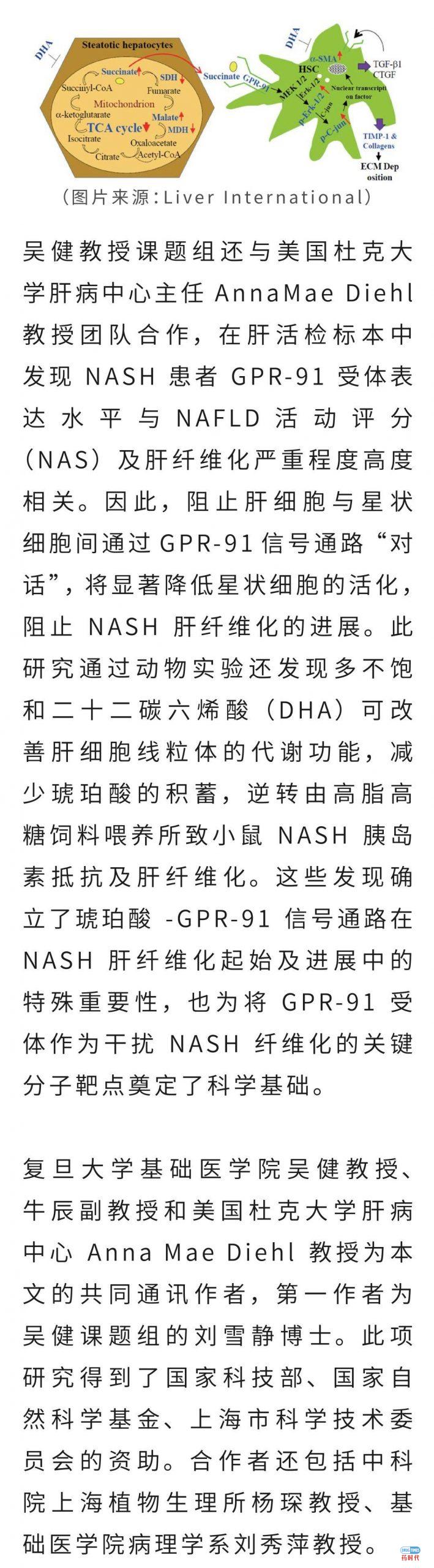 喜讯！复旦大学基础医学院吴健课题组揭示非酒精性脂肪性肝炎肝纤维化的新机制