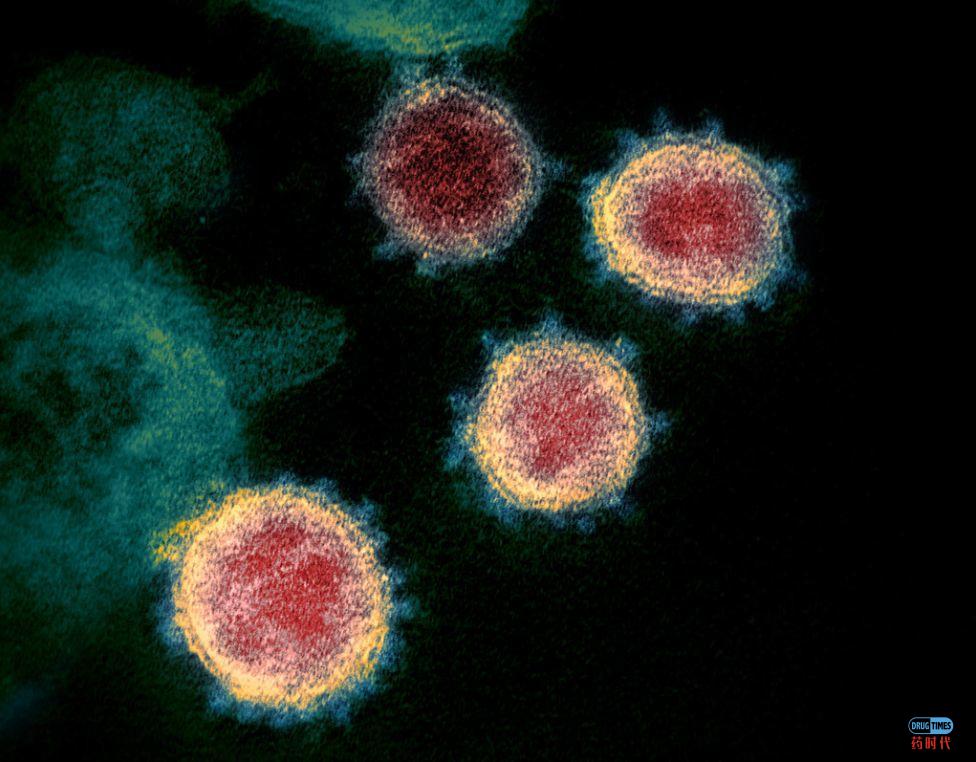 瑞士学者人工合成出新冠病毒：能在一周之内生产或改造出大量病毒活体