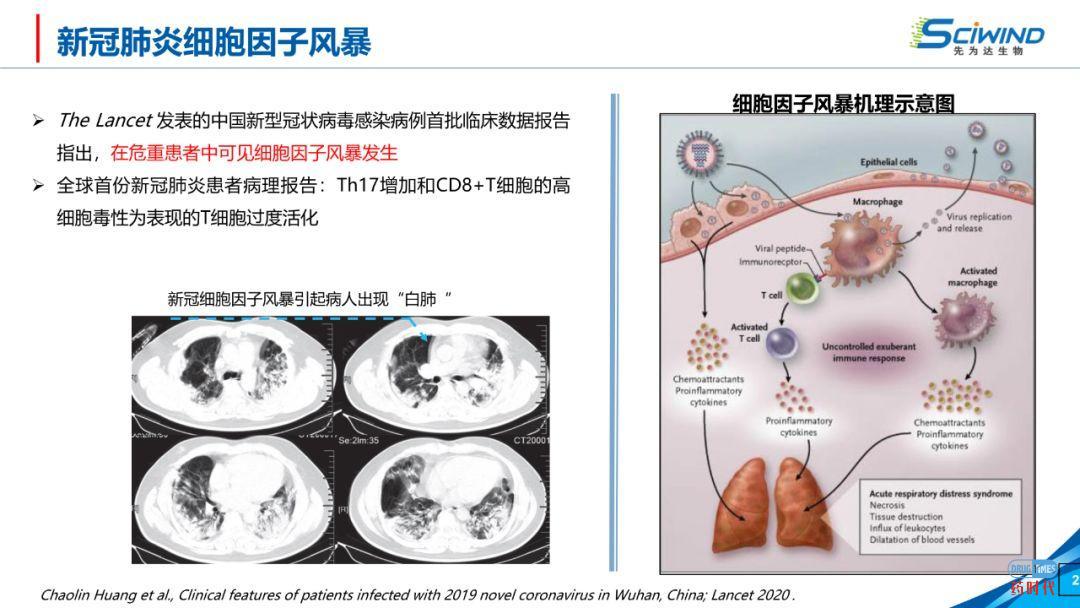 PPT下载 | 生物大分子药物在新冠肺炎治疗中的应用