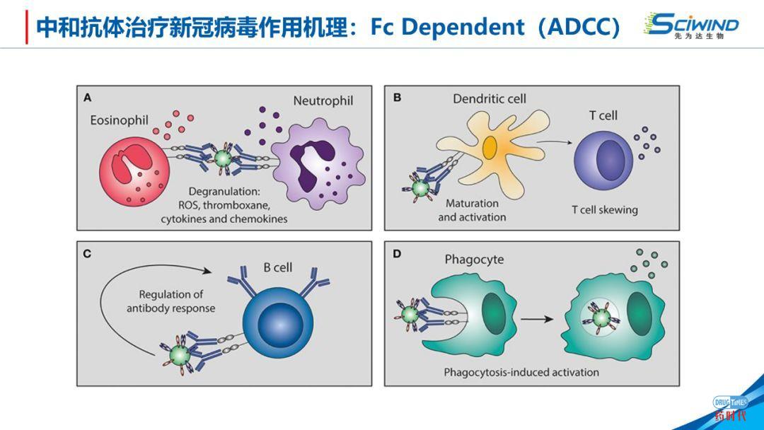 PPT下载 | 生物大分子药物在新冠肺炎治疗中的应用