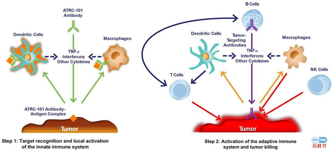 燃烧吧,小宇宙:Driver Antigen Engagement