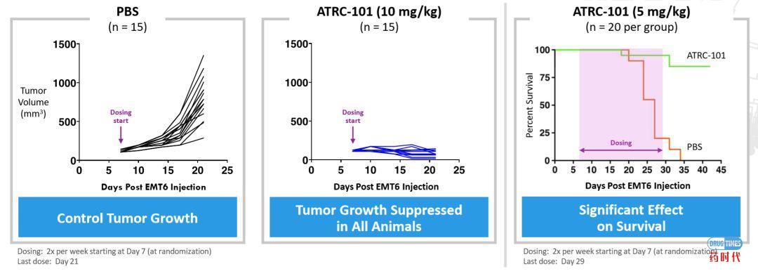 燃烧吧,小宇宙:Driver Antigen Engagement