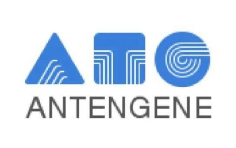 晚期非小细胞肺癌靶向治疗，ATG-010二期临床试验在中国启动